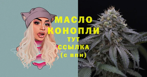 шишки Армянск